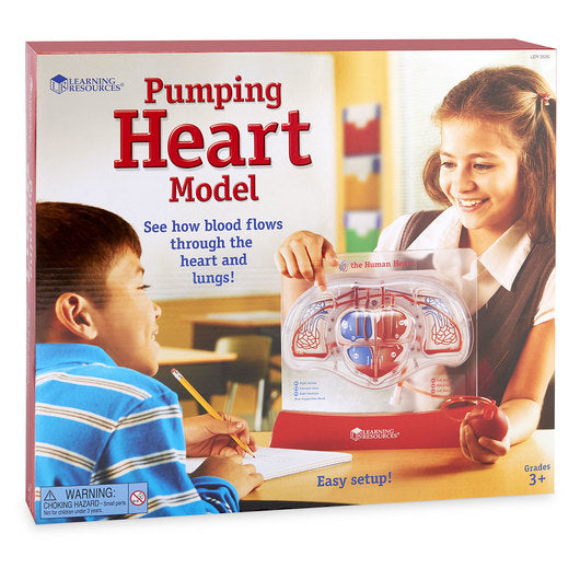 Pumping Heart Model